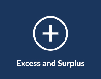 ExcessSurplus_Icon_01
