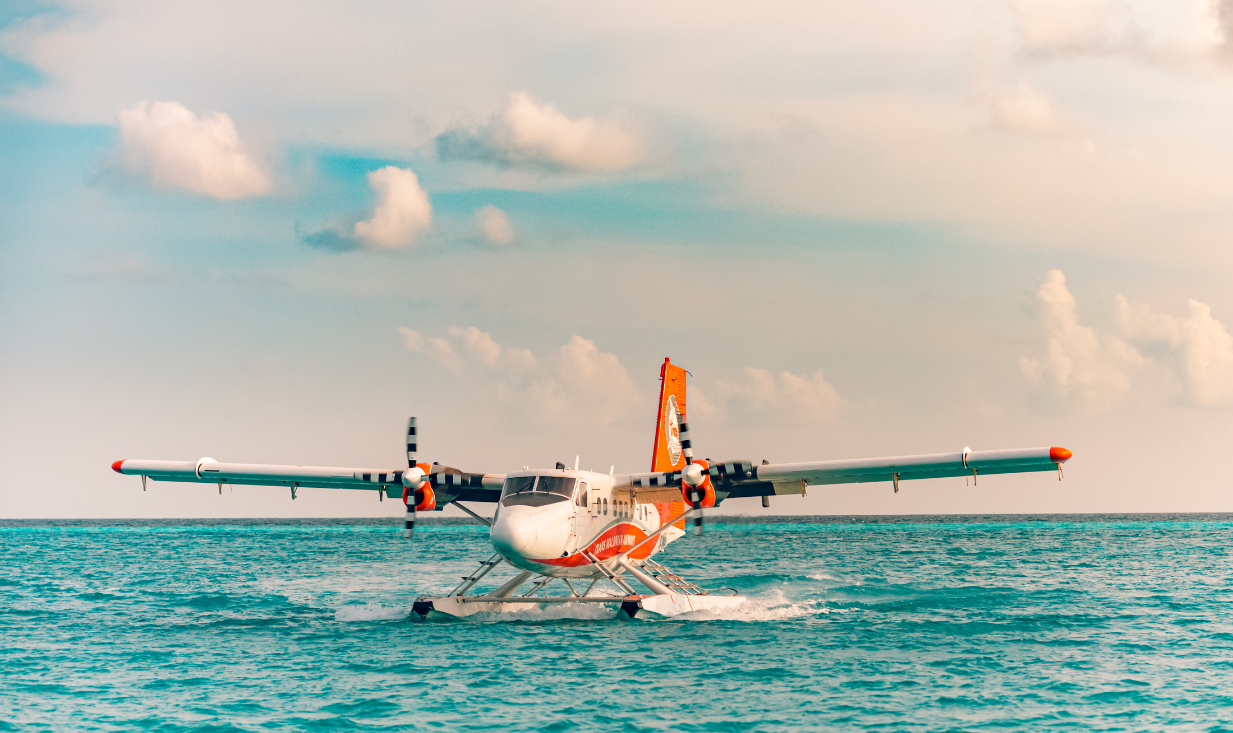 Your Flight Plan (1)